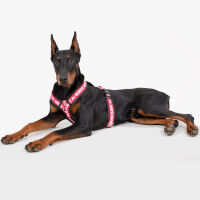 Alpha Industries Hundegeschirr Dog RBF Harness 116925 Remove Bevor Flight 6475 Rückenlänge ca 36cm Schwarz 6475 XL