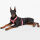 Alpha Industries Hundegeschirr Dog RBF Harness 116925 Remove Bevor Flight 6475 Rückenlänge ca 36cm Schwarz 6475 XL